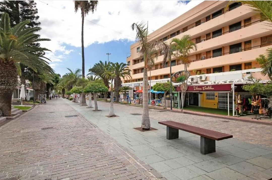 Apartamento Fayser 108 Beachfront With Direct Pool Access From Terrace Arona